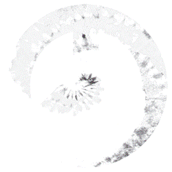 TIE DYE PEACE SIGN 12912SA4.gif